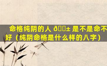命格纯阴的人 🐱 是不是命不好（纯阴命格是什么样的八字）
